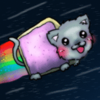 Nyan Cat / Pop Tart Cat