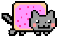 Nyan Cat / Pop Tart Cat