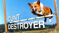 Cunt Destroyer