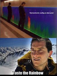 Bear Grylls / Better Drink My Own Piss