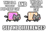 Nyan Cat / Pop Tart Cat