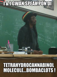 Rasta Science Teacher