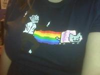 Nyan Cat / Pop Tart Cat