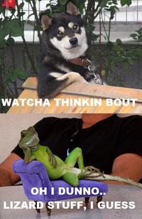 Whatcha Thinkin Bout?