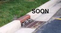 SOON