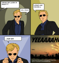 Osama Bin Laden's Death