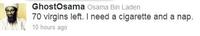 Osama Bin Laden's Death