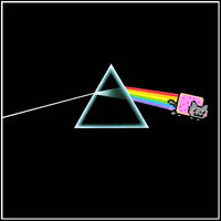 Nyan Cat / Pop Tart Cat