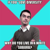 Privilege Denying Dude