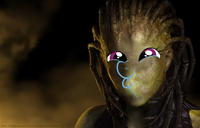 Why Wub Woo / Dashface