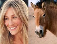 Sarah Jessica Parker Looks Like a Horse