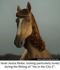 Sarah Jessica Parker Looks Like a Horse