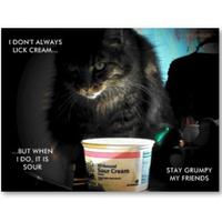 The Most Interesting Cat in the World
