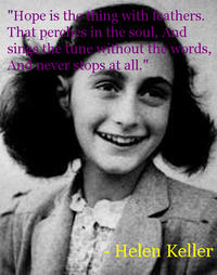Troll Quotes