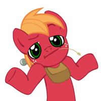 Pony Reactions