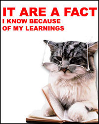 LOLcats