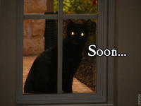 SOON