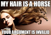 Your Argument is Invalid