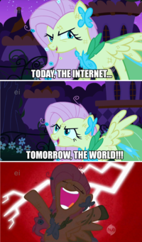Flutterrage / Flutterbitch