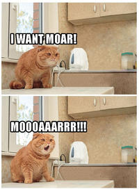 MOAR
