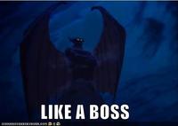 Like A Boss