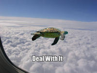 Deal With It
