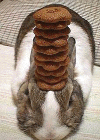 Pancake Bunny