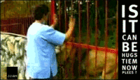 LOLcats