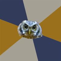 Art Student Owl