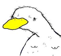 Dolan