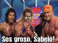 Who's Awesome? You're Awesome! / Sos Groso, Sabelo!