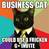 Business Cat