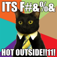 Business Cat