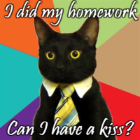 Business Cat