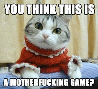 LOLcats