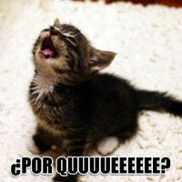 LOLcats