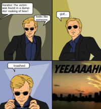 Csi4pane_someonegottrashed
