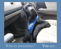 Who's Awesome? You're Awesome! / Sos Groso, Sabelo!