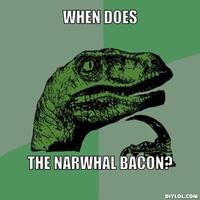 The Narwhal Bacons at Midnight