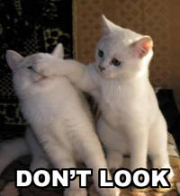 LOLcats