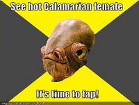 It's A Trap!