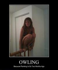Owling