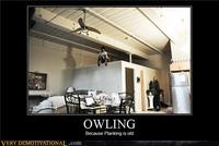 Owling