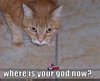 Where is Your God Now?