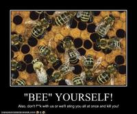 Demotivational Posters
