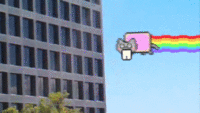 Nyan Cat / Pop Tart Cat