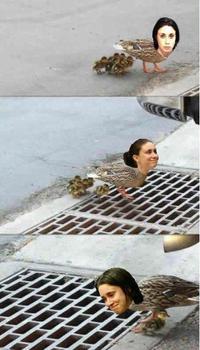 Casey Anthony Trial