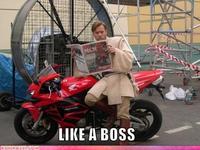 Like A Boss
