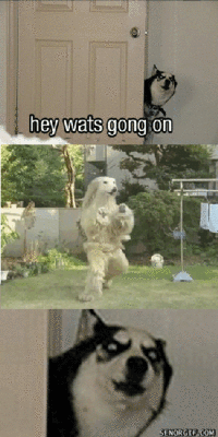 Hey Guys What's Going On This Thread?