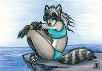 Sea-coon